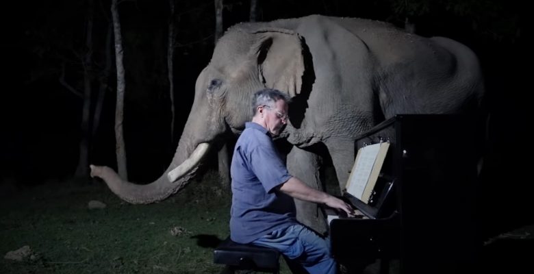 Paul Barton’dan filler için klasik müzik dinletisi