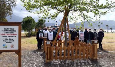 Fethiye’de sağlık çalışanları için anıt ağaç dikildi
