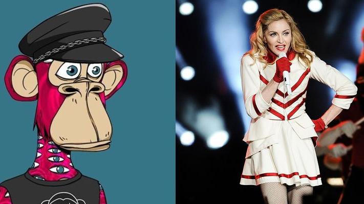 Ünlü şarkıcı Madonna’dan NFT’ye dev yatırım: ‘Sıkılmış Maymun’a 570 bin dolar ödedi