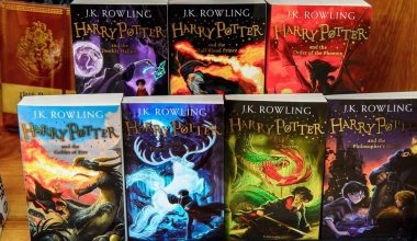 Harry Potter serisinin ilk kitabı açık artırmada: