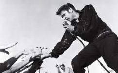 Rock’n Roll’un kralı Elvis Presley hakkında 10 şaşırtıcı gerçek