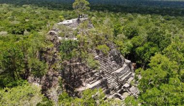 Guatemala’daki ormanda 417 antik Maya şehri keşfedildi